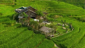 The Art of Sa Pa: Promoting Tourism Through Cultural Portraits - image 1