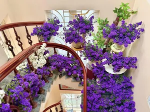 Breathtaking Home Decor: Transforming a Staircase with 150 Bundles of Michaelmas Daisies - image 15