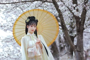 YiTuYu Art Language Vol.7119: The Captivating Zhou Zhou Ay Collection - image 10