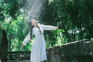 The Elegant Aesthetic of YiTuYu Art Language Vol.5764 Er Liang Feng Yue - image 17