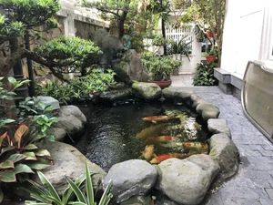 Essential Principles for Building a Luxury Front Yard Fish Pond to Attract Prosperity and Good Feng Shui - image 5