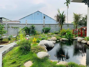 Essential Principles for Building a Luxury Front Yard Fish Pond to Attract Prosperity and Good Feng Shui - image 4