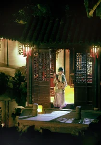 Timeless Elegance of Yi Zhi Shu Zi Jun in YiTuYu Vol.8947 Art Language - image 0
