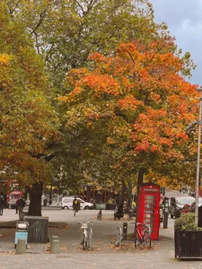 Autumn Magic in Edinburgh: A Fairytale Escape to Scotland - image 5