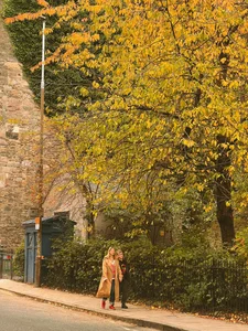 Autumn Magic in Edinburgh: A Fairytale Escape to Scotland - image 6