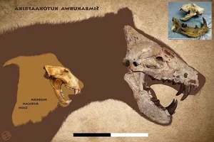 Exploring Ancient Giants: A Deep Dive into Fossil Archives and Prehistoric Discoveries - image 3