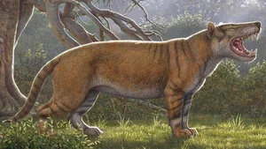 Exploring Ancient Giants: A Deep Dive into Fossil Archives and Prehistoric Discoveries - image 1
