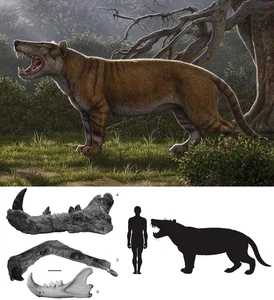 Exploring Ancient Giants: A Deep Dive into Fossil Archives and Prehistoric Discoveries - image 6