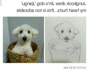 BTS Jungkook Artistic Talents and Potential Art Gallery Career - image 8