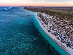 Witness giant sea turtles in Australia's ocean paradise: A magical moment on untouched sands - image 7