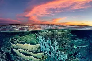 Witness giant sea turtles in Australia's ocean paradise: A magical moment on untouched sands - image 0