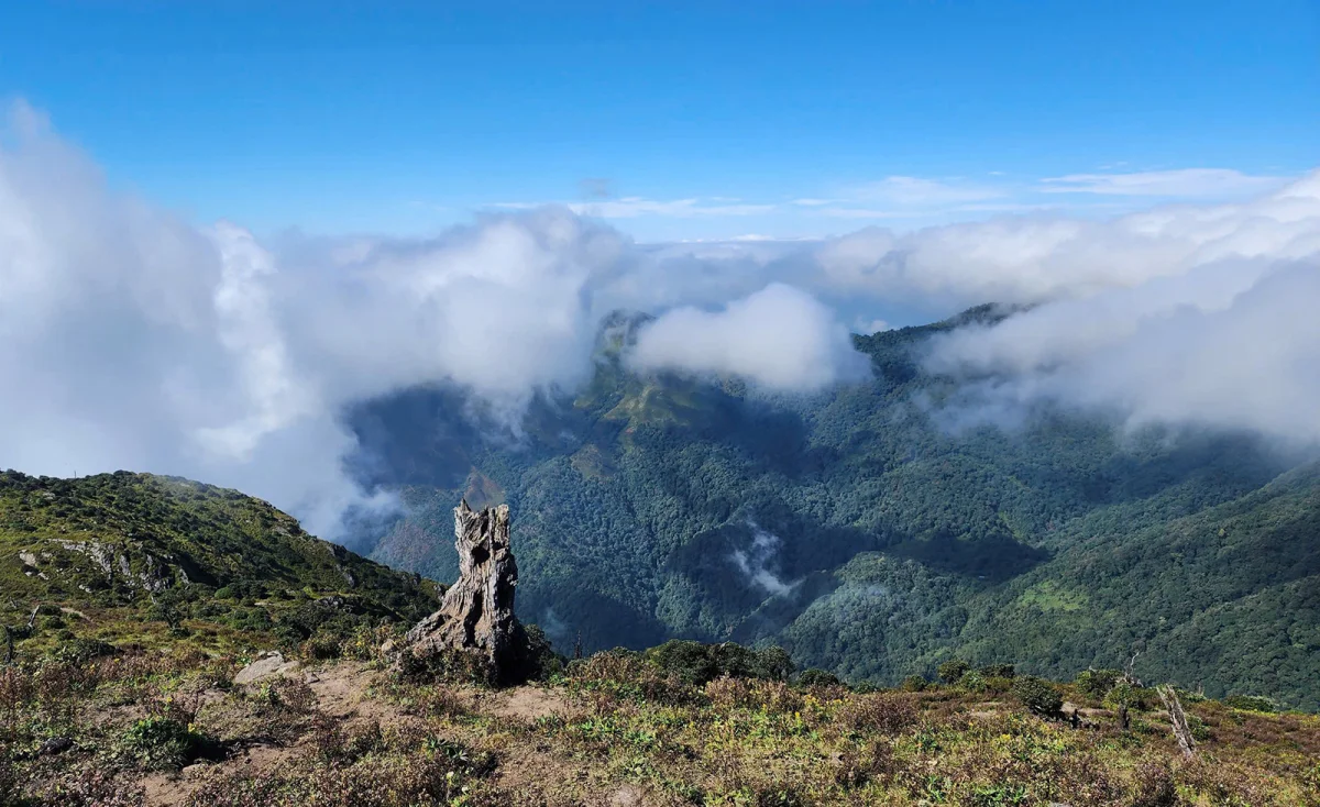 Conquering Ta Chi Nhu: A Breathtaking Trek Through Vietnam’s High Peaks After the Storm