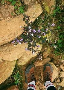 Conquering Ta Chi Nhu: A Breathtaking Trek Through Vietnam’s High Peaks After the Storm - image 9
