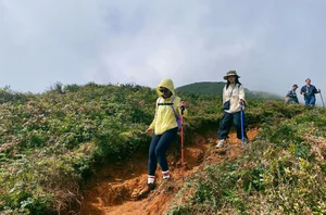 Conquering Ta Chi Nhu: A Breathtaking Trek Through Vietnam’s High Peaks After the Storm - image 7