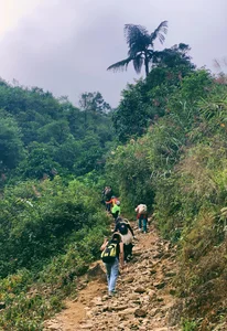Conquering Ta Chi Nhu: A Breathtaking Trek Through Vietnam’s High Peaks After the Storm - image 3