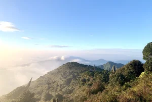 Conquering Ta Chi Nhu: A Breathtaking Trek Through Vietnam’s High Peaks After the Storm - image 10