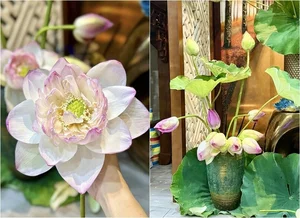 Inside Editor Hoang Trang’s Dreamy Home Filled with Beautiful Lotus Blossoms - image 8