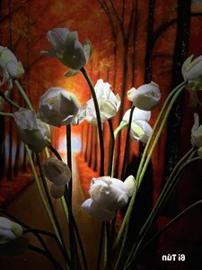 Inside Editor Hoang Trang’s Dreamy Home Filled with Beautiful Lotus Blossoms - image 9