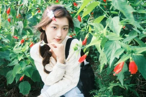 Classic Allure: YiTuYu Art Language Vol.7916 Featuring Chen Nian Xiao Jiu - image 16