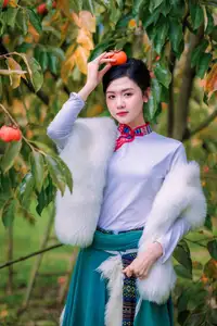 Graceful Vietnamese Girl in Traditional Attire Amidst Autumn Persimmon Garden - image 10