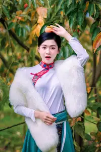 Graceful Vietnamese Girl in Traditional Attire Amidst Autumn Persimmon Garden - image 6