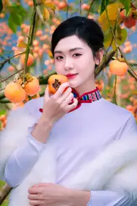 Graceful Vietnamese Girl in Traditional Attire Amidst Autumn Persimmon Garden - image 11