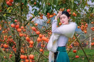 Graceful Vietnamese Girl in Traditional Attire Amidst Autumn Persimmon Garden - image 5