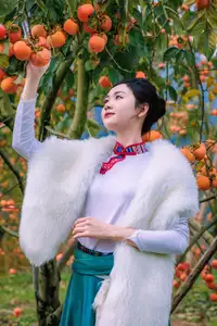 Graceful Vietnamese Girl in Traditional Attire Amidst Autumn Persimmon Garden - image 1