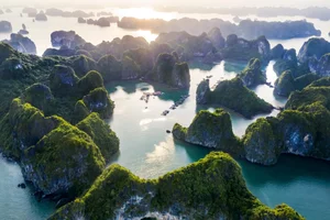 Quang Ninh Travel Guide 2024: Top 28 Essential Experiences and Attractions - image 13