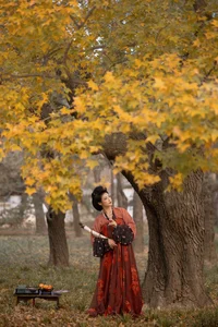 Natural Beauty and Light: YiTuYu Art Language Vol.6622 Sa Da - image 2