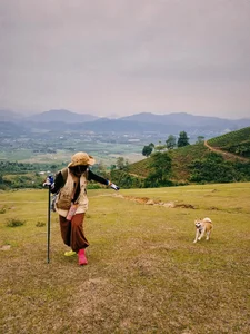 Meet the Adventurous Dog Who Conquered Vietnam's 7 Highest Mountain Peaks - image 6