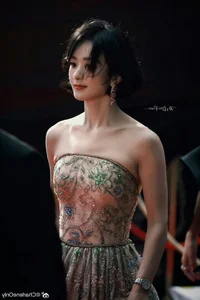 Zhao Liying Stuns in New High-Fashion Gallery Showcasing Timeless Elegance - image 7