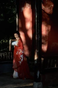 Artistic Portraits of Wu Sui in YiTuYu Art Language Vol.5946 - image 2