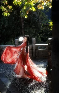 Artistic Portraits of Wu Sui in YiTuYu Art Language Vol.5946 - image 5