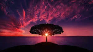 Top 100 Full HD Nature and Landscape Desktop Wallpapers for 2023 - image 73