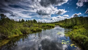 Top 100 Full HD Nature and Landscape Desktop Wallpapers for 2023 - image 27