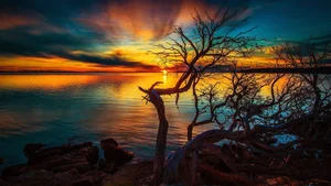 Top 100 Full HD Nature and Landscape Desktop Wallpapers for 2023 - image 55