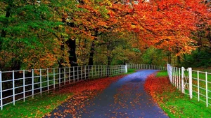 Top 100 Full HD Nature and Landscape Desktop Wallpapers for 2023 - image 101
