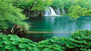 Top 100 Full HD Nature and Landscape Desktop Wallpapers for 2023 - image 90