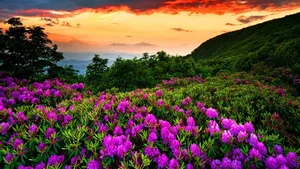 Top 100 Full HD Nature and Landscape Desktop Wallpapers for 2023 - image 10