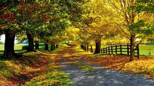 Top 100 Full HD Nature and Landscape Desktop Wallpapers for 2023 - image 34