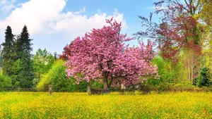 Top 100 Full HD Nature and Landscape Desktop Wallpapers for 2023 - image 25