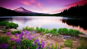 Top 100 Full HD Nature and Landscape Desktop Wallpapers for 2023 - image 65