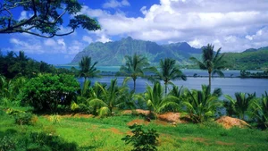 Top 100 Full HD Nature and Landscape Desktop Wallpapers for 2023 - image 9