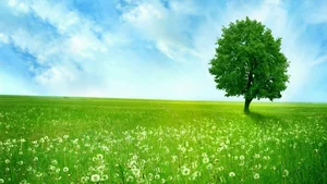 Top 100 Full HD Nature and Landscape Desktop Wallpapers for 2023 - image 29