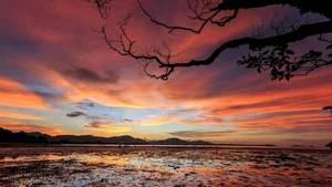 Top 100 Full HD Nature and Landscape Desktop Wallpapers for 2023 - image 41