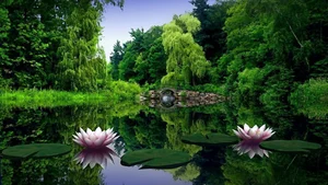 Top 100 Full HD Nature and Landscape Desktop Wallpapers for 2023 - image 5
