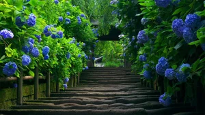 Top 100 Full HD Nature and Landscape Desktop Wallpapers for 2023 - image 43