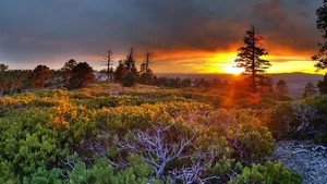 Top 100 Full HD Nature and Landscape Desktop Wallpapers for 2023 - image 13