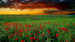 Top 100 Full HD Nature and Landscape Desktop Wallpapers for 2023 - image 50